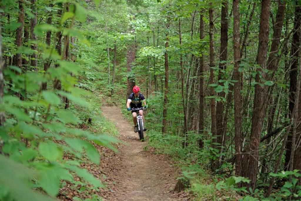 Honeymoon Getaway In Woods Near Noc And Smoky Mtn Rr Vila Bryson City Exterior foto